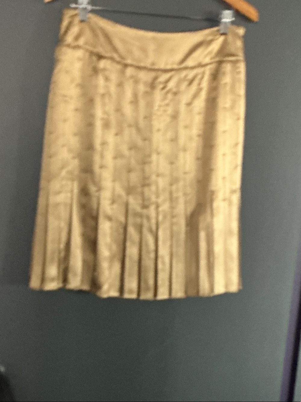 Gold pleated skirt